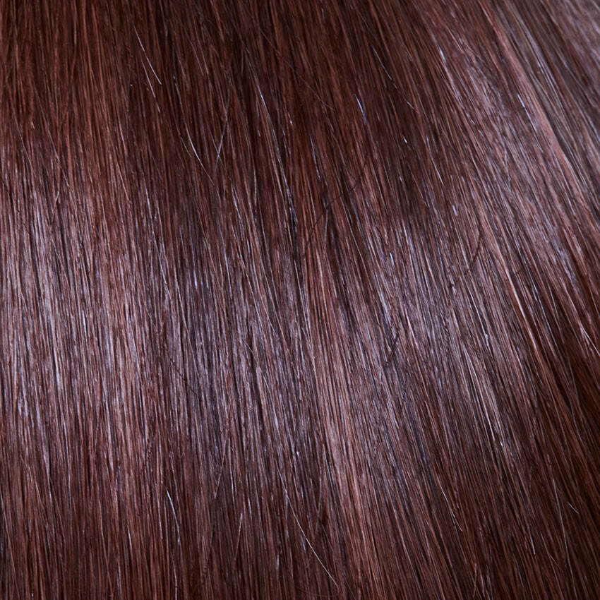 Chestnut (31/130)