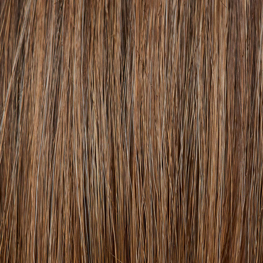 Bernstein Balayage (10/16/27+10)