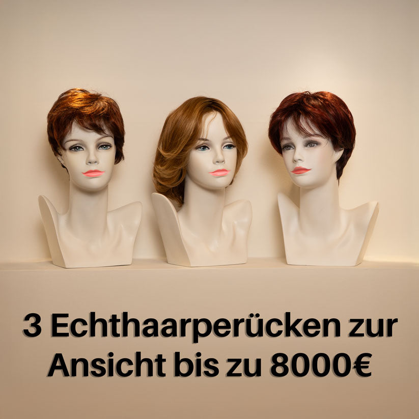 3 Echthaarperücke zur Ansicht bis zu 8000€