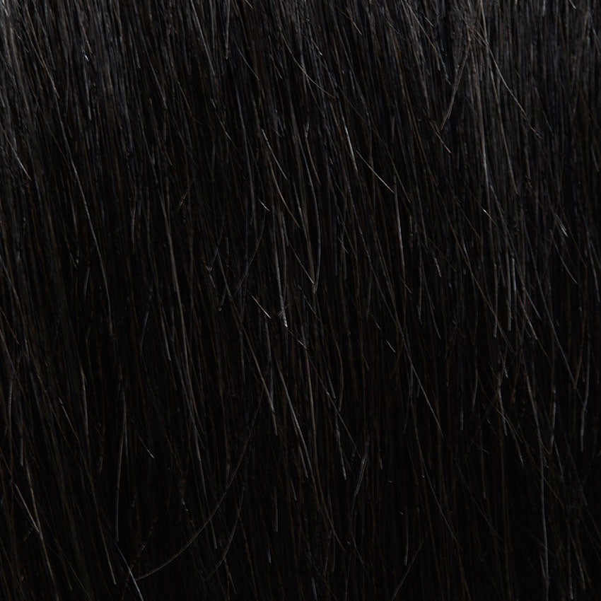 Sympathy HH Remy Special