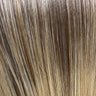 Honey Blond Balayage (22/15+10)