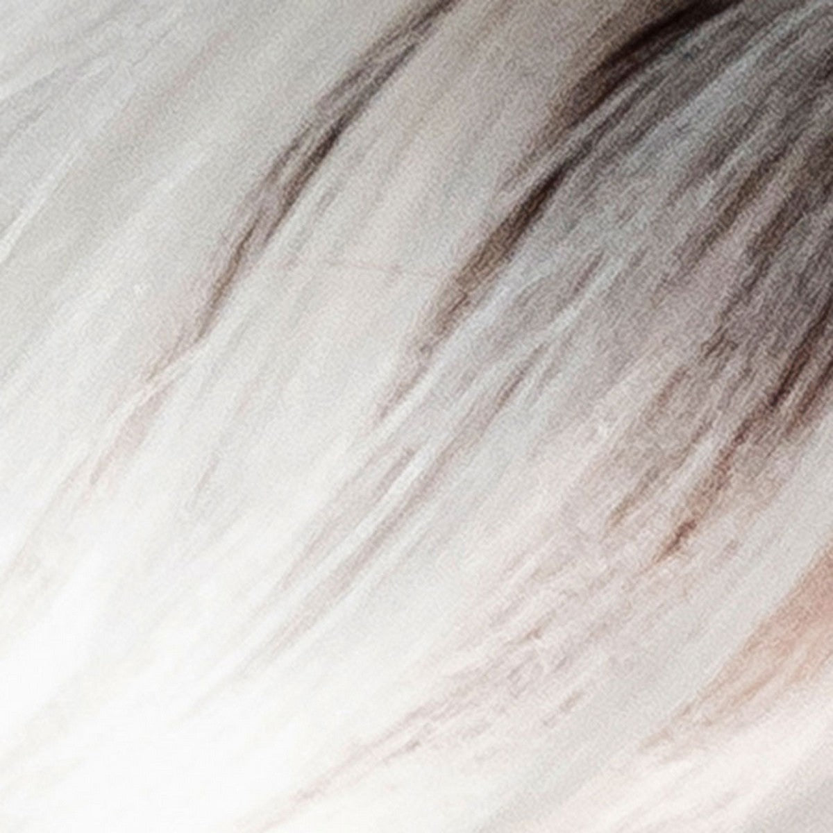 Mirage Lace Part