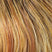 Golden Nutmeg (27/234+8)