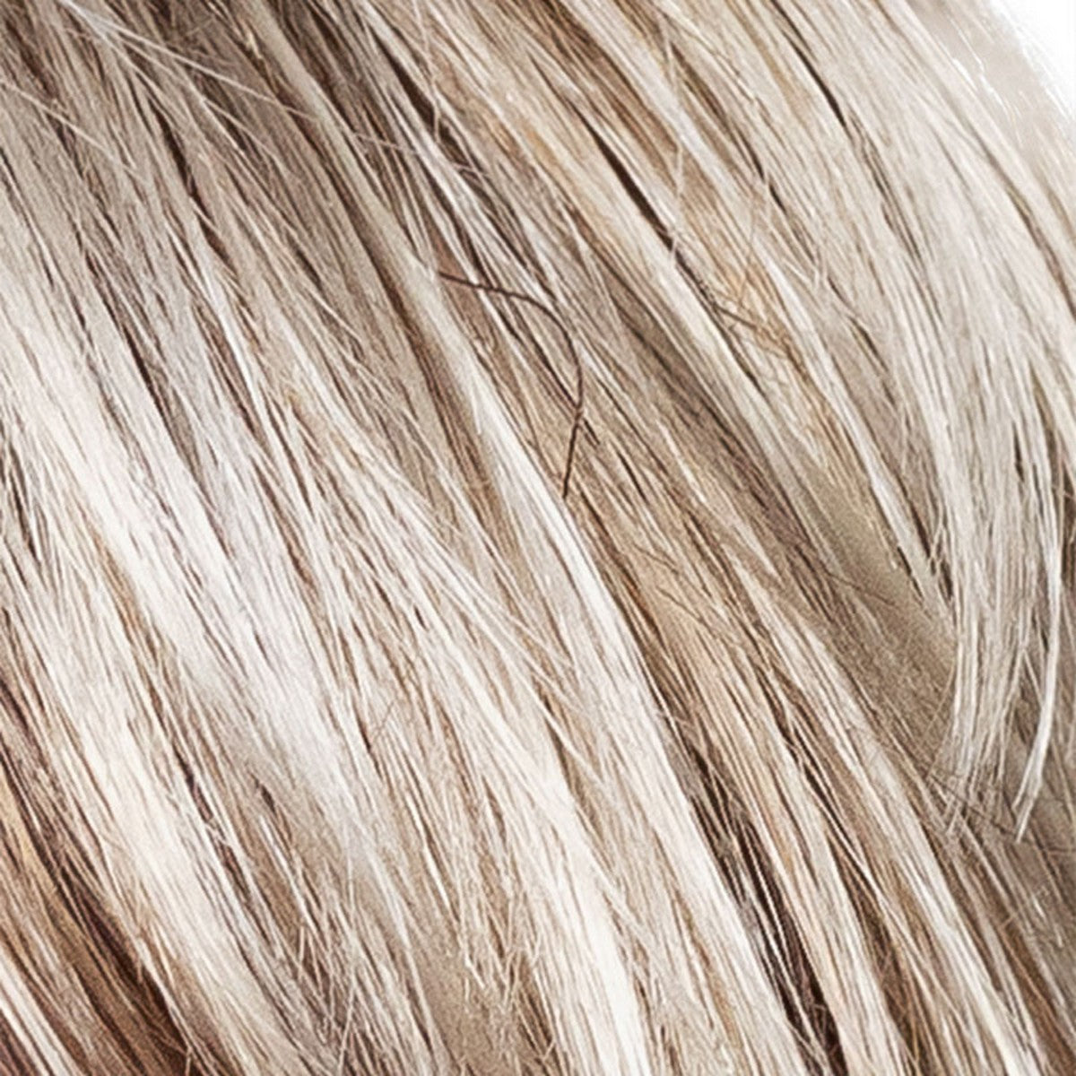 Ginger Lace