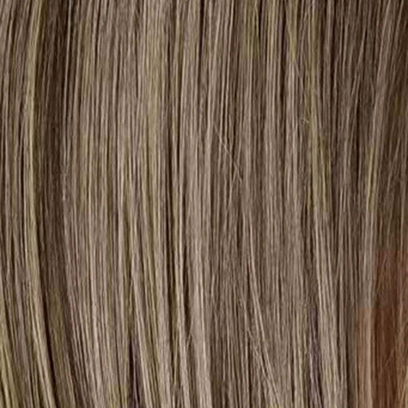 Honey Mix Balayage (12/27/16+12)