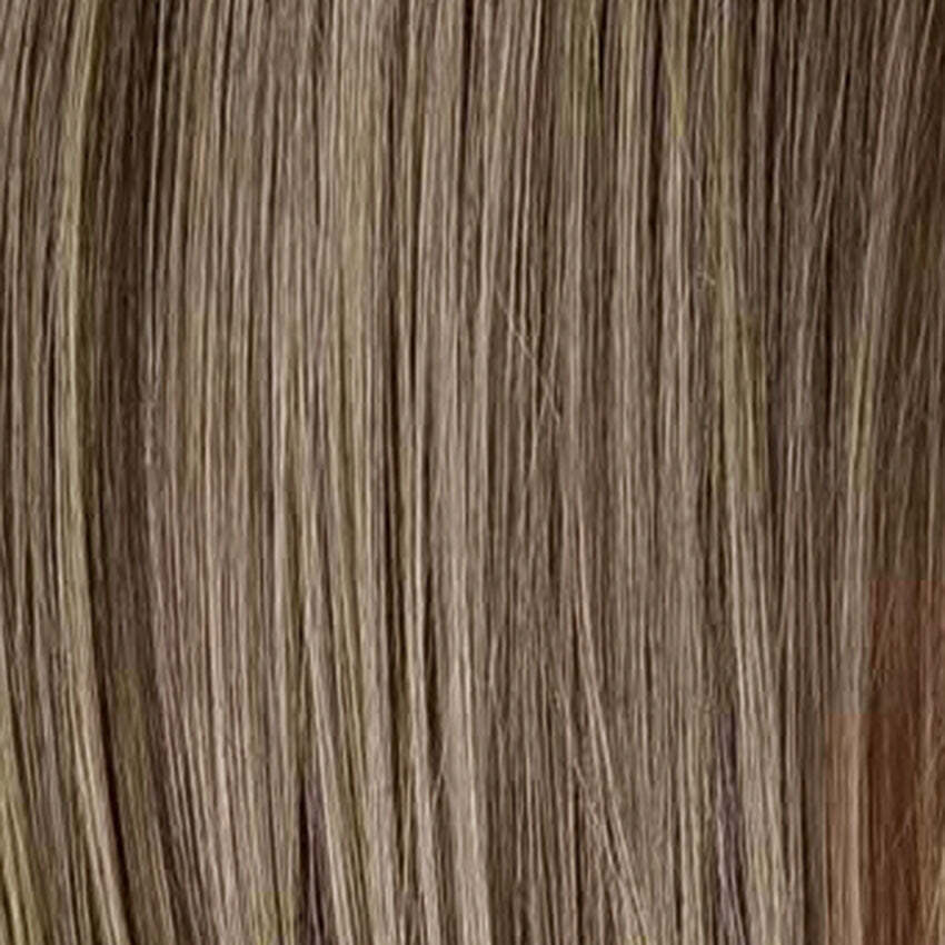 Honey Mix Balayage (12/27/16+12)