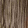 Honey Mix Balayage (12/27/16+12)