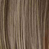 Honey Mix Balayage (12/27/16+12)