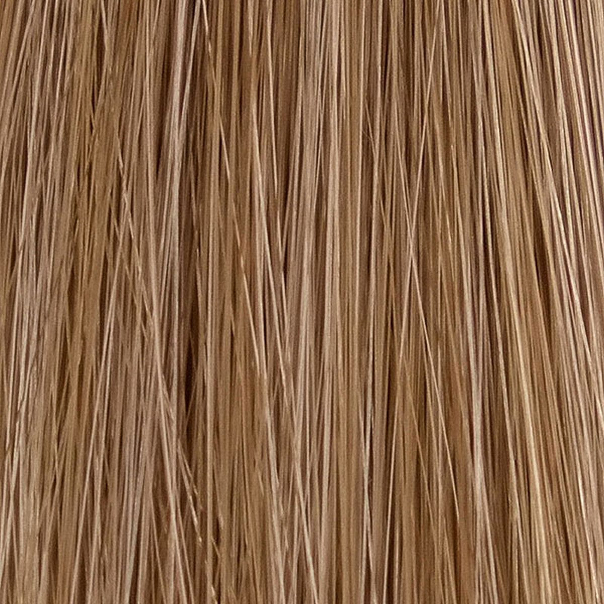 Carla Soft