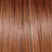 Shaded Iced Pumpkin Spice (RL29/33RT)