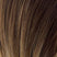 Dark Blond Balayage (N12/14/26+12)