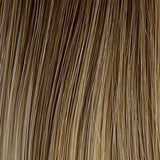 Champagne Balayage (12/14/25)