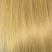 Light Honey Mix (263R)