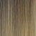 Biscuit Balayage (8/19/22)