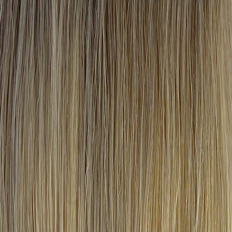 Biscuit Balayage (8/19/22)