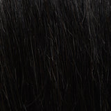 Sympathy HH Remy Special