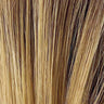 Dark Ash Blond Balayage (25/14+10)