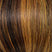 Chocolate Caramel (829)