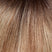 Spring Acorn (140/14/6 Root)