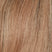 Sunshine Gold (140/22/6 Root)