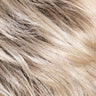 Maxima SF