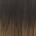 Shaded Hazelnut (RL8/29RT)