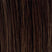 Dark Brown (1B)