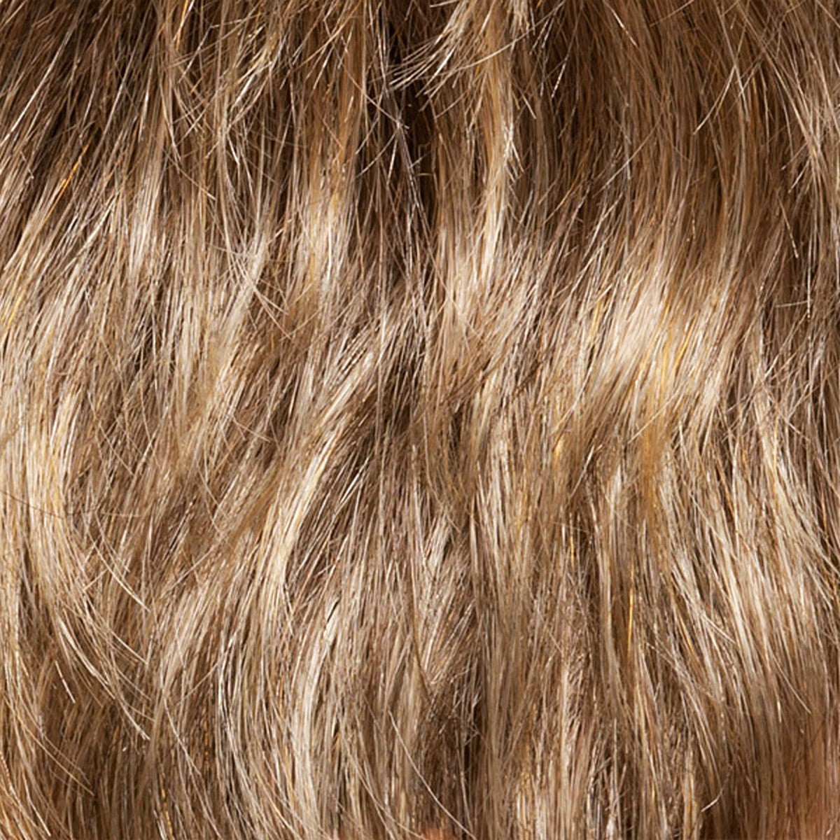 Short Hair 2