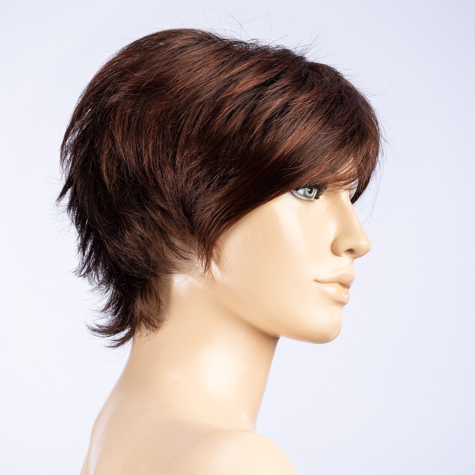 Short Hair 1