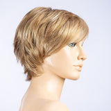 Short Hair 1