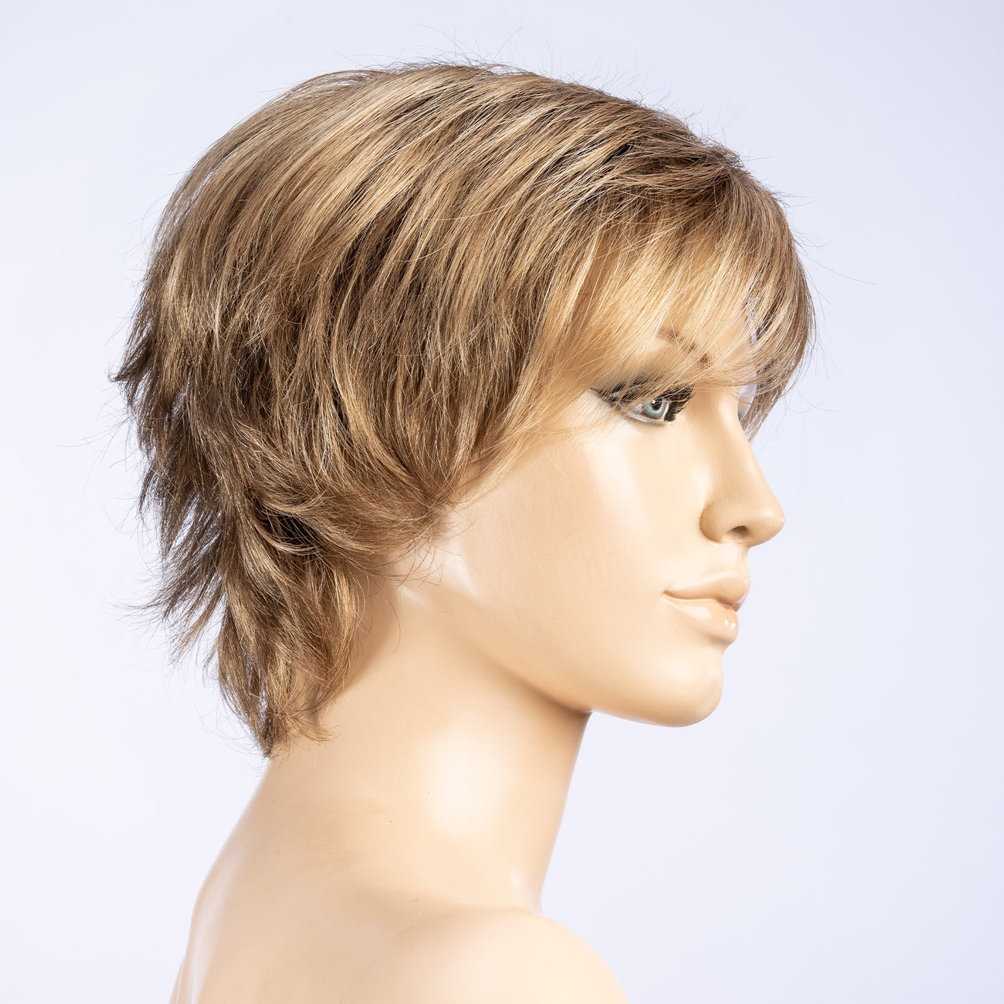 Short Hair 1