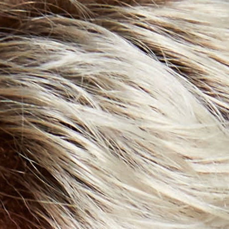 Modern Curl Lace