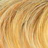 Salon Style